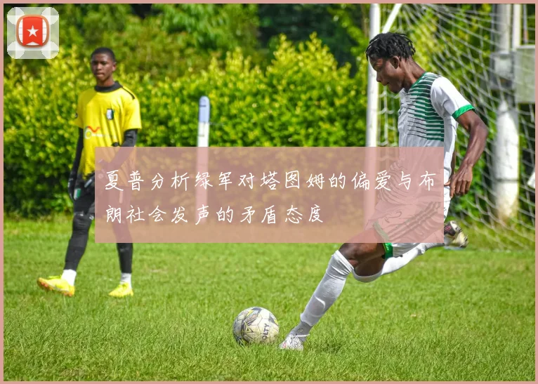 夏普分析绿军对塔图姆的偏爱与布朗社会发声的矛盾态度